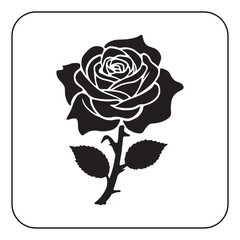 Vintage Flower Design with Classic Botanical Illustrations