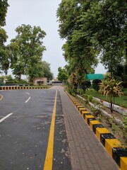 Fresh Scene Rainy road greenery Trees Leaves photography society landscape Field Fence Peaceful, Fresh Melody: Rain-Kissed Journey Through Nature's Tapestry	Beautiful Natural Forest Photography Leaves
