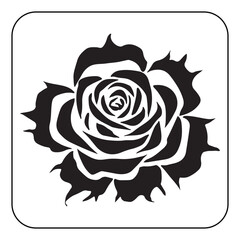 Vintage Flower Design with Classic Botanical Illustrations