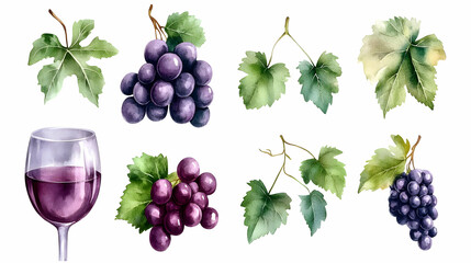 Fototapeta premium Watercolor Grapes Wine Glass and Vine Leaves
