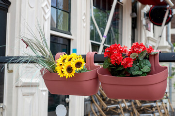 Sunflowers and red geraniums in terracotta hanging pots on a railing