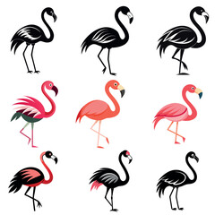 flamingo vector art and illustration and black color