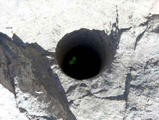 a sprout in a hole in the rock