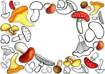 Round frame from set of mushrooms. Mushrooms of various shapes and sizes. Drawings with a black outline and with watercolor filling of various colors. White copy space and background. Season, autumn.
