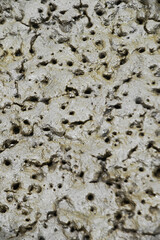 Abstract background and texture of wet clay beach. During low tide.