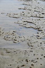 Abstract background and texture of wet clay beach. During low tide.