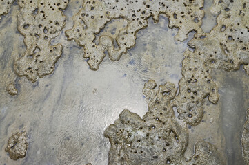 Abstract background and texture of wet clay beach. During low tide.