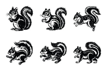 Squirrel Silhouette Bundle in Vector Clip Art Style