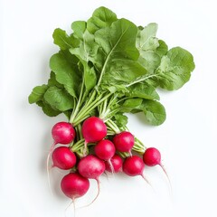 A bunch of fresh red radishes with green leaves on a white background.