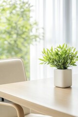 A serene office space with a potted plant on a wooden desk bathed in natural light