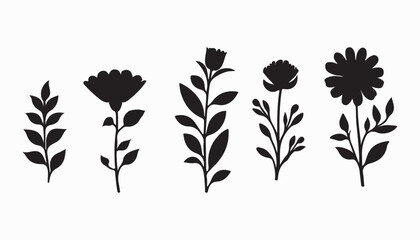Flowers silhouette, vector images ,Plants silhouettes, vector images
