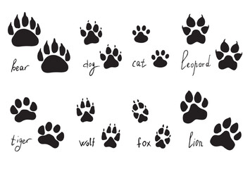 Animal paw prints set, vector different animals footprints. Dog fox wolf bear cat lion leopard tiger. Vector illustration © OLiAN_ART