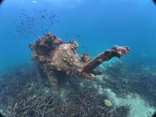 Underwater coral reef with fishes.