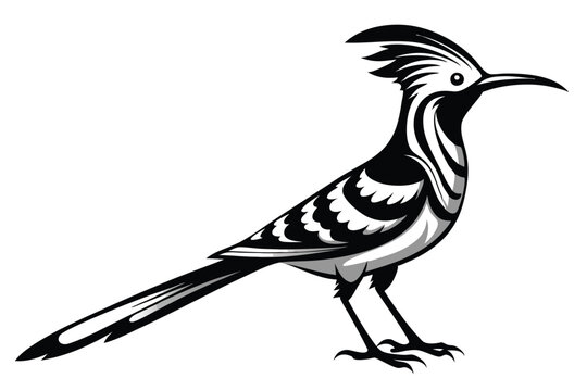 recommend clip art: Hoopoe black and white silhouette J.eps
