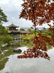 Fototapeta premium Japanese garden