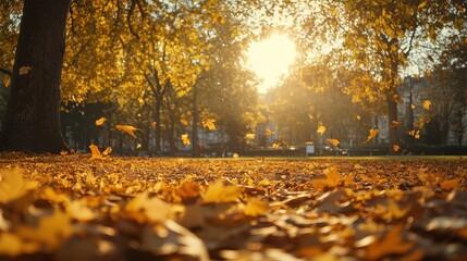 A park filled with autumn leaves, the sunlight filtering through the trees and casting a golden light over the scene --ar 16:9 --v 6.1 Job ID: 60cdfbd6-7d59-4e29-bc76-88bf82053cd4