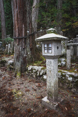 Detalle del cementerio budista de Koyasan en Japón.
