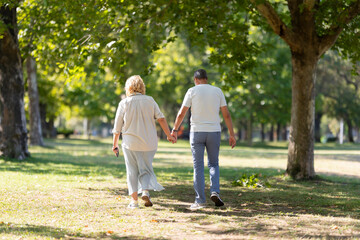 Elderly couple holding hands walking in the park