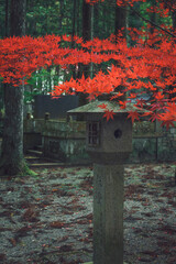 Detalle del cementerio budista de Koyasan en Japón.