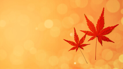 オレンジ色の光の背景に紅葉。玉ボケ。コピースペース。（横長）