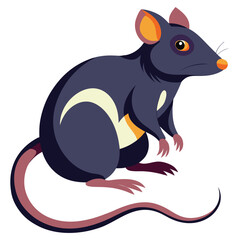 Colorful rat image abstract art colorful background nice image.