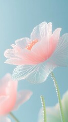 Delicate Pink Flower with Dew Drops Against a Blue Sky