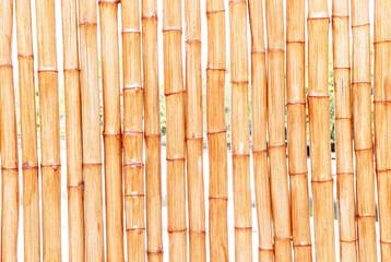 ฺBamboo fence slave exchange shiny brown or bamboo and yellow wall texture background. Dry bamboo is used to make fences or walls of house. Can be applied as material for construction of houses.