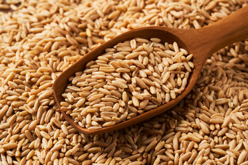 hull australia oat groat rice food for pet background in wood scoop
