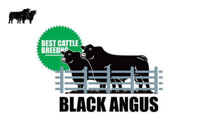 great black angus standing logo, silhouette of big and strong cattle vector illustrations