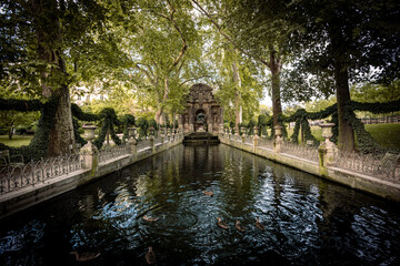 Medici Fountain Surrounded by Greenery in Jardin du Luxembourg - Paris, France