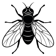          Fly logo icon vector illustration.

