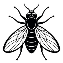 Fototapeta premium Fly logo icon vector illustration. 