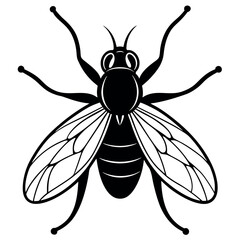          Fly logo icon vector illustration.
