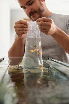 Man acclimating aquarium fish to new tank water