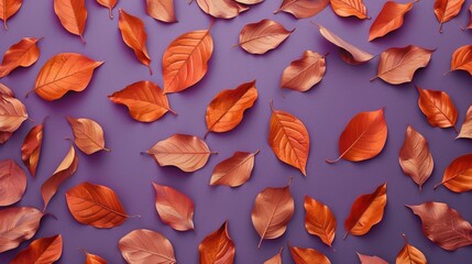 Dry metallic orange leaves on violet background