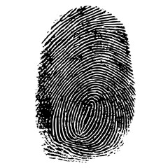 finger print  illustration isolated on transparent background