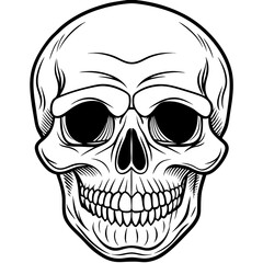 Fototapeta premium vector illustration of skull