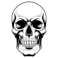 Fototapeta premium Skull and bones