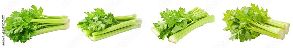 Poster Celery isolated on white background with clipping path, full depth of field
