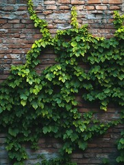 A lush green vine climbing a rustic brick wall, creating a harmonious blend of nature and architecture