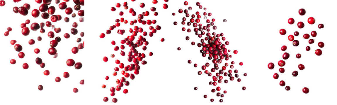 The falling cranberry is isolated on a white background using a clipping path and full depth of field