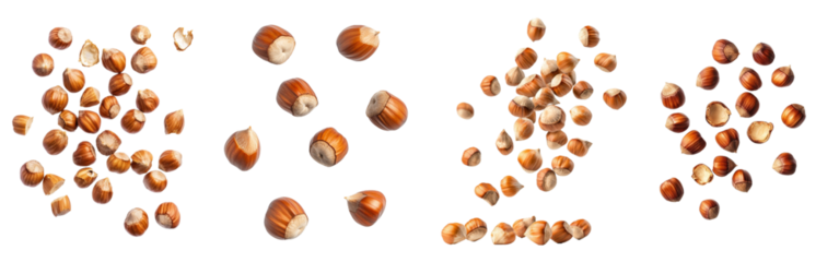 Falling hazelnut, clipping path, in full focus on white background