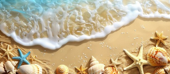 Summer beach background with sea sand starfish shells and copy space image