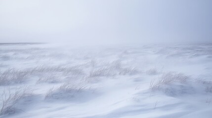 Obraz premium Winter Landscape With Blowing Snow