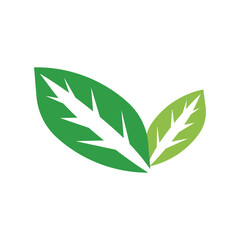 Eco Logo Vector Template Icon