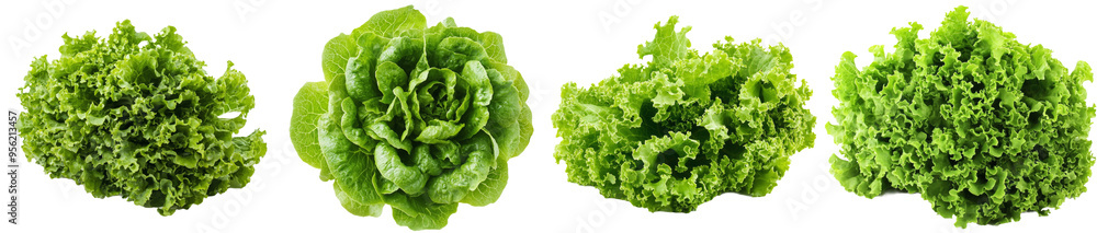 Aufkleber a green iceberg lettuce isolated on a white background, with a clipping path and a depth of field of