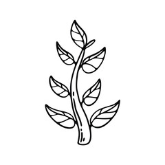 A black and white sketch of a leafy branch with multiple leaves sprouting from a curving stem.