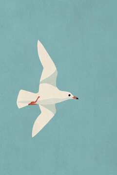 Illustration of white seagull flying over blue background
