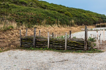 Dry hedge or Benjes hedge made of maintenance pruning branches, dead wood and roots,...