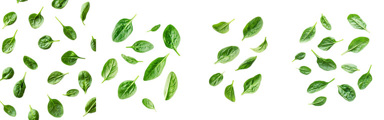 Isolated Falling Spinach on White Background, Clipping Path, Full Depth